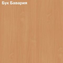 Шкаф для документов с нижней дверью Логика Л-10.3 | фото 2