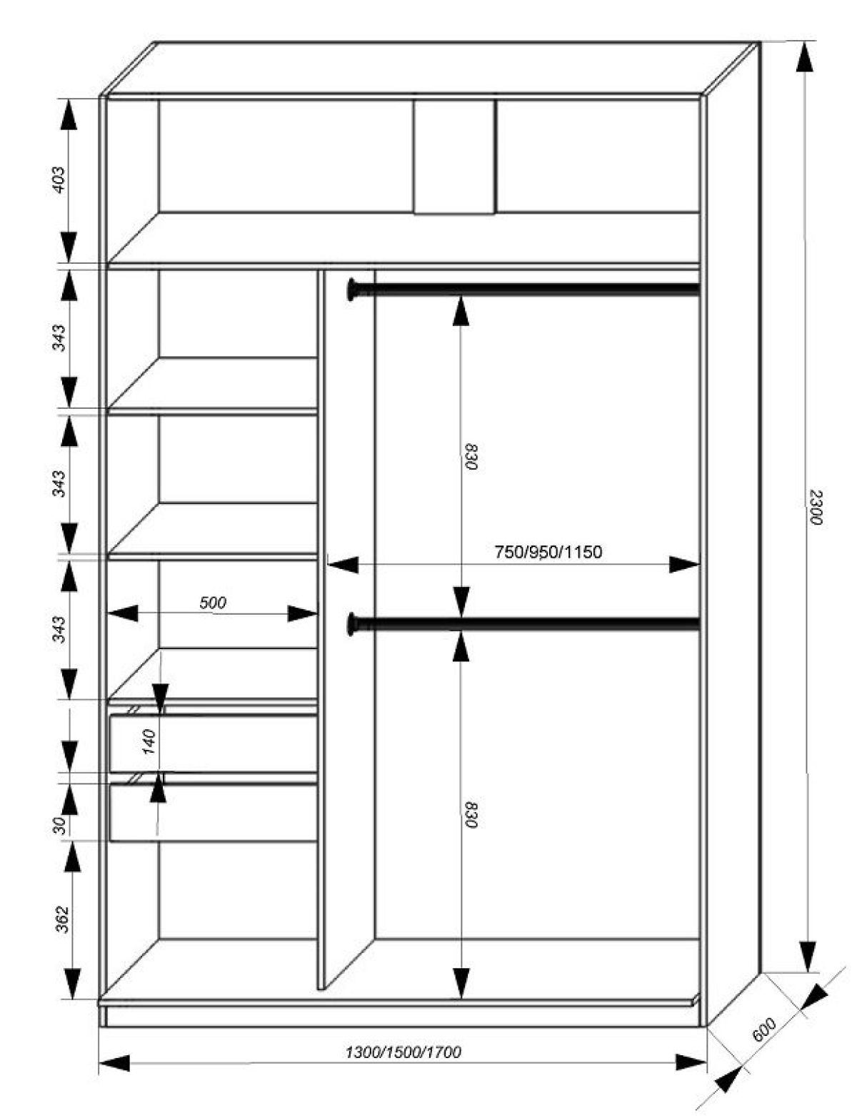 Шкаф-купе 1700 серии SILVER S5+S5+B2+PL3 (2 ящика+2 штанги) профиль «Серебро» | фото 3