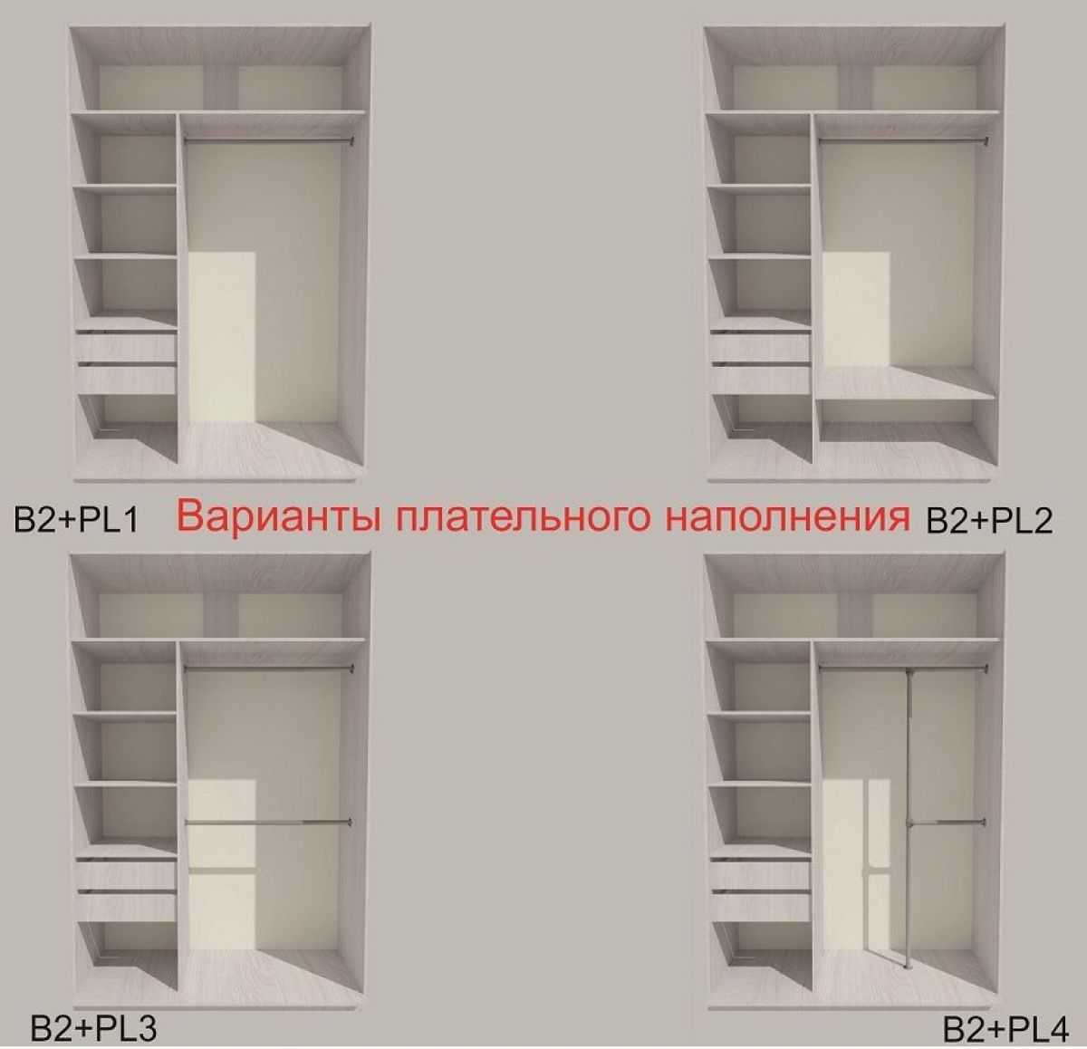 Шкаф-купе 1700 серии SILVER S5+S5+B2+PL3 (2 ящика+2 штанги) профиль «Серебро» | фото 6