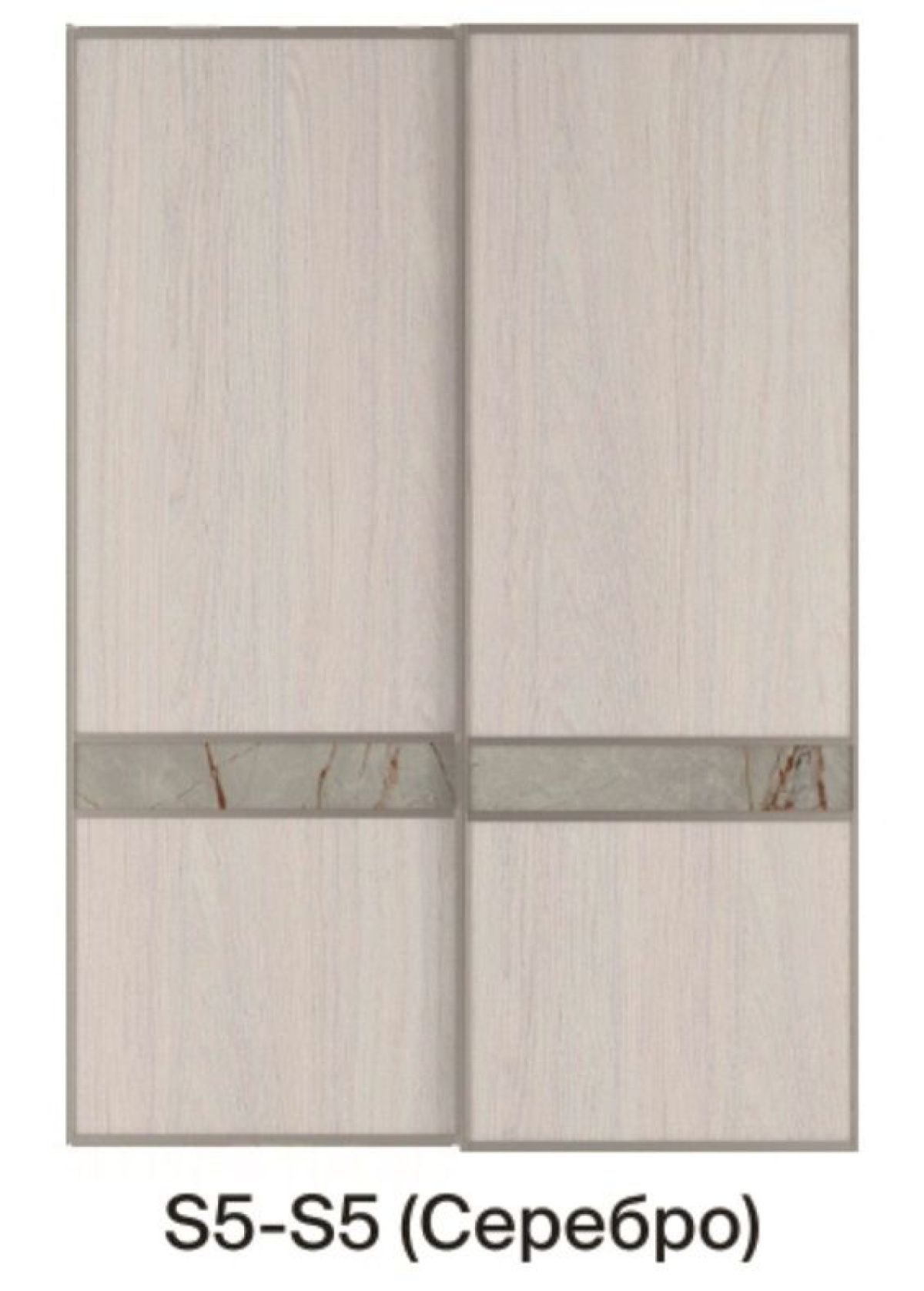 Шкаф-купе 1700 серии SILVER S5+S5+B2+PL3 (2 ящика+2 штанги) профиль «Серебро» | фото 10