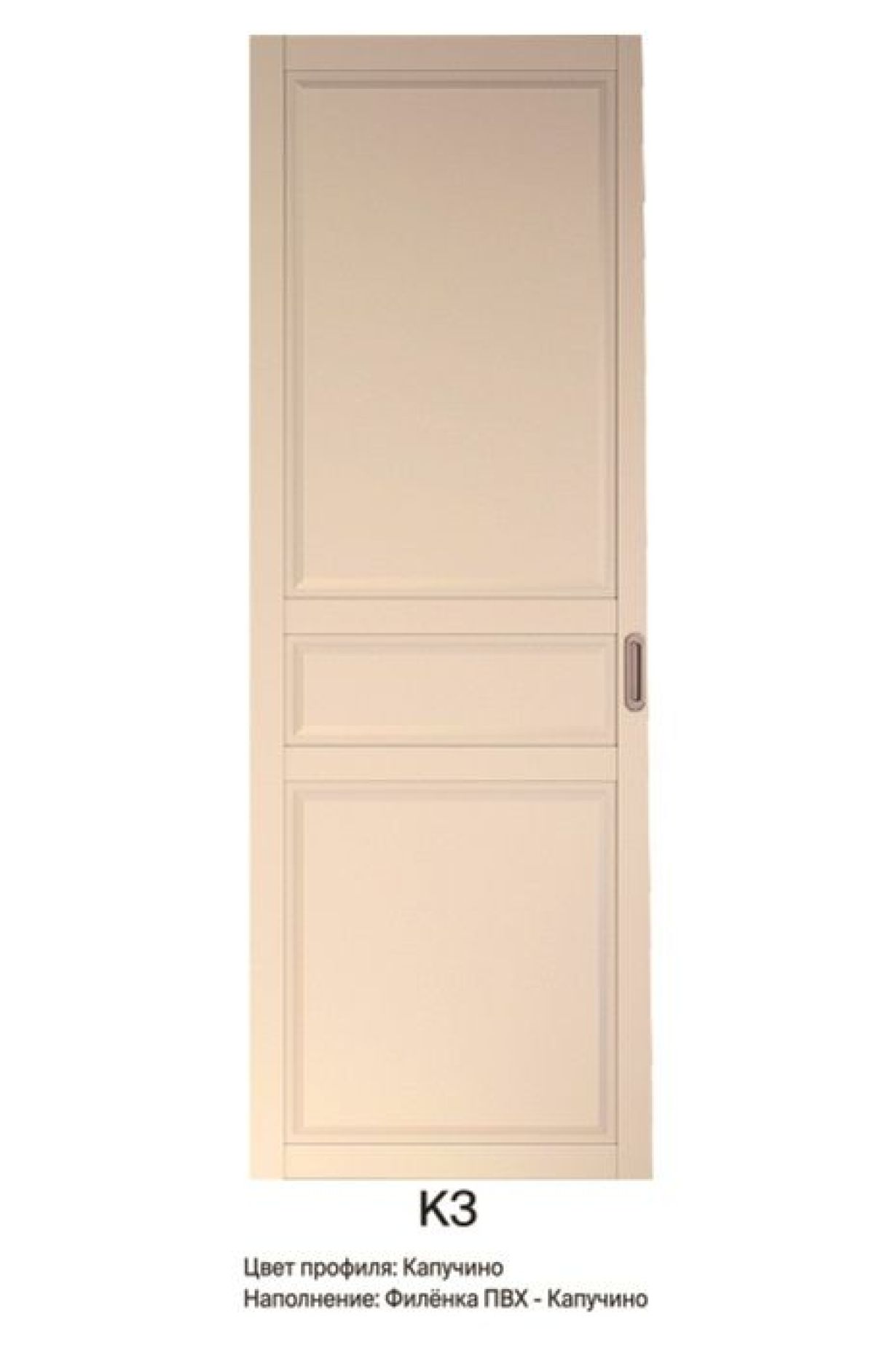 Шкаф-купе 1700 серии NEW CLASSIC K4+K4+B2+PL4 (2 ящика+F обр. штанга) профиль «Капучино» | фото 11