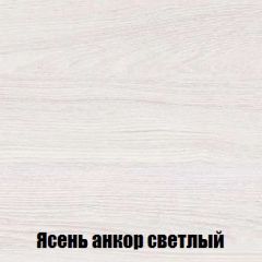 Шкаф 2-х створчатый МСП-1 (Ясень Анкор светлый) | фото 4
