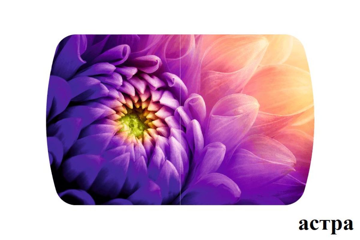 БОСТОН опоры Брифинг | фото 6