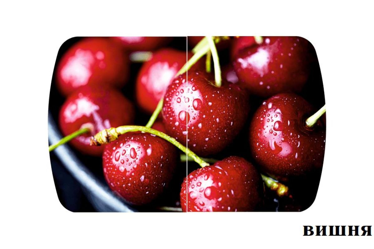 БОСТОН опоры Брифинг | фото 10