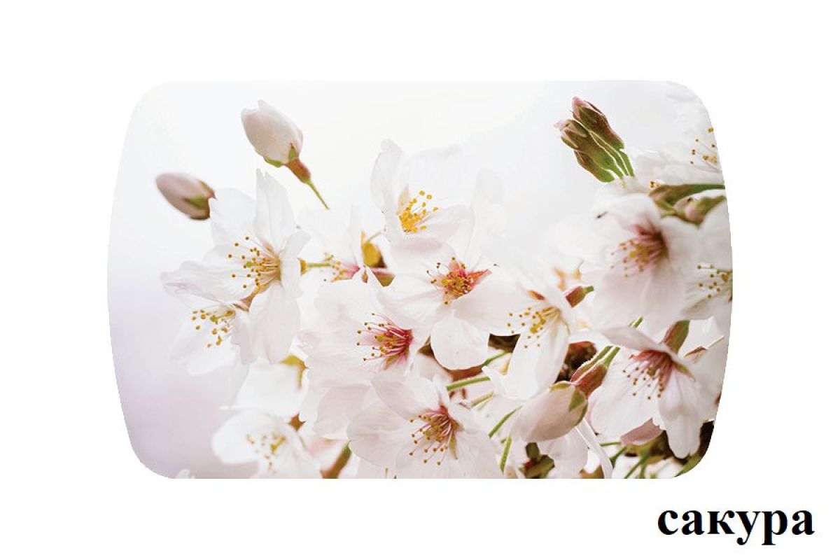 БОСТОН опоры Брифинг | фото 23