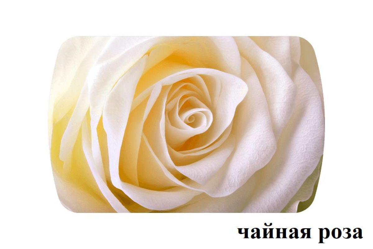 БОСТОН опоры Брифинг | фото 27