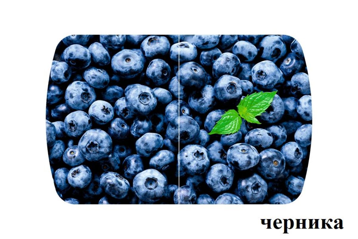 БОСТОН опоры Брифинг | фото 28