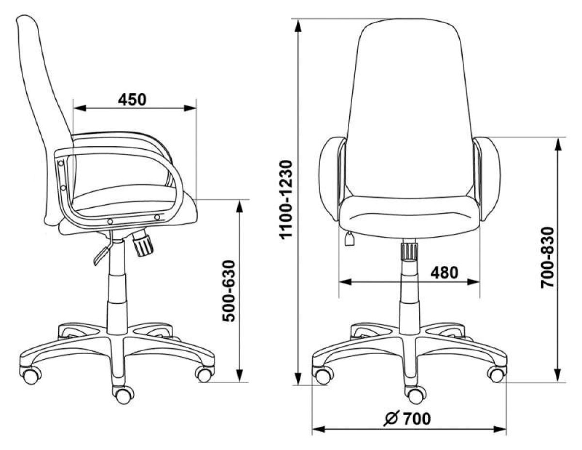 Кресло руководителя Бюрократ CH-808AXSN/TW-12 серый | фото 3