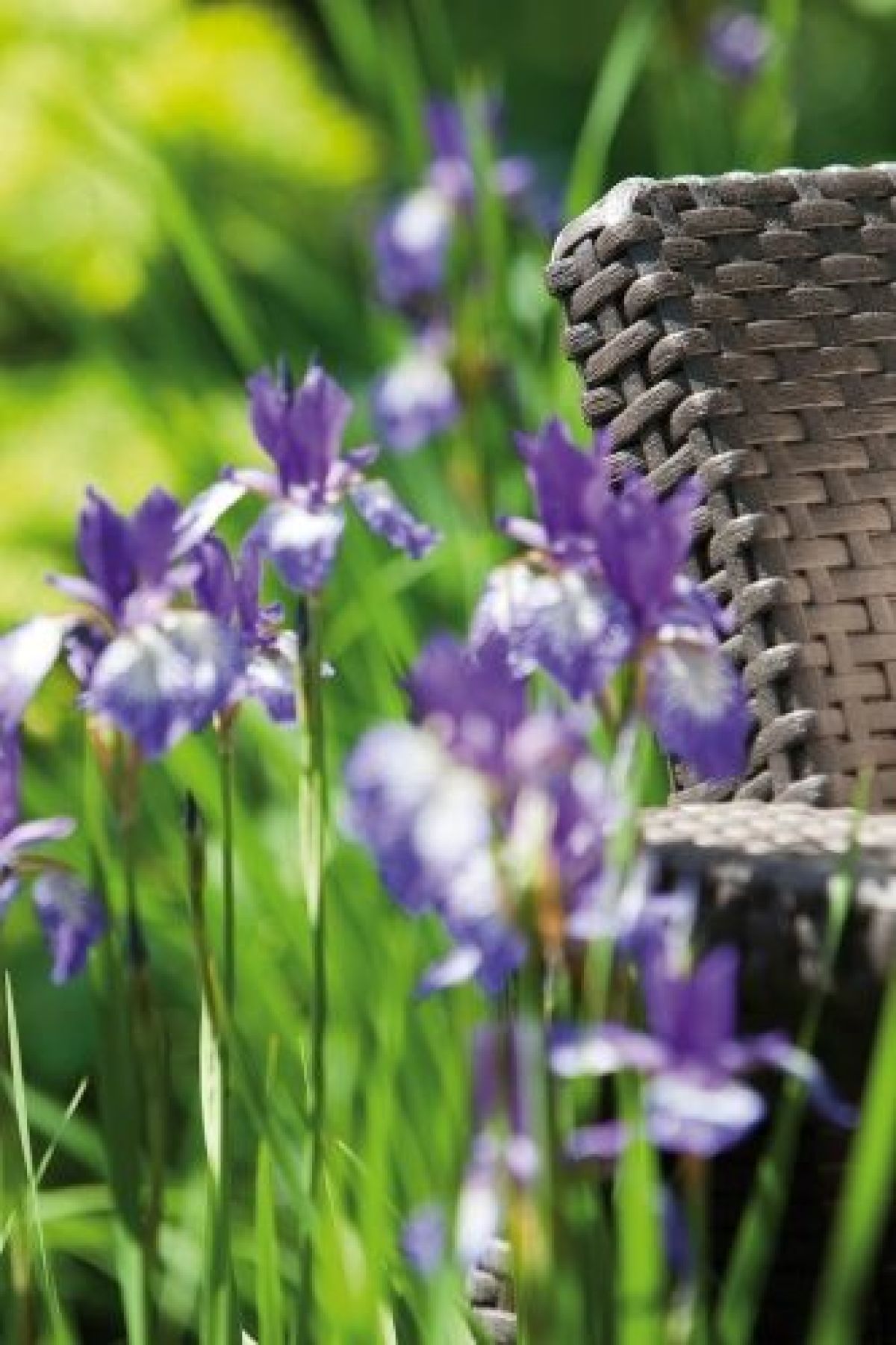 Комплект кресел Корфу Дуо (Corfu Duo set) коричневый - серо-бежевый * | фото 4