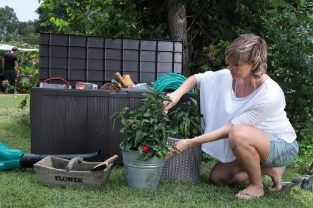 Сундук SHERWOOD STORAGE BOX 270 L | фото 5